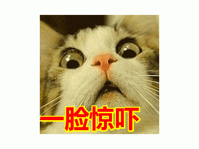 房管局经纪机构80万买房款不翼而飞遭遇无良中介
