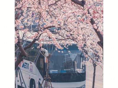 安康市公共交通有限责任公司关于2023年2月21日优化调整3路11路、18路公交线路的通告