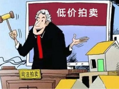 （法拍房与二手房：购房方式、特点及选择之辩）
