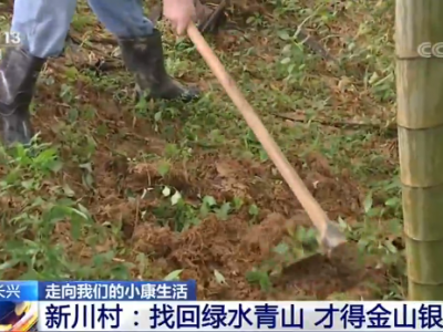 浙江省长兴县新川村村民张牛大：你别看