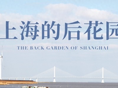 关于崇明公共租赁住房，你想知道的都在这里！