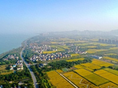 太湖、淀山湖湖长协作机制应运而生