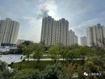 上海楼市崩塌，房价腰斩的原因是……