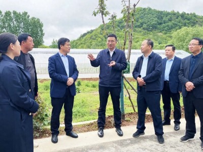 支朝奇深入牧护关镇、三岔河镇调研乡村振兴工作