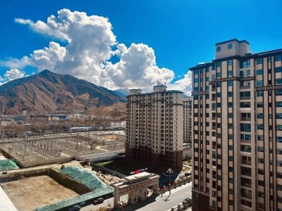 拉萨市多个区域受欢迎户型房租涨幅情况进行了