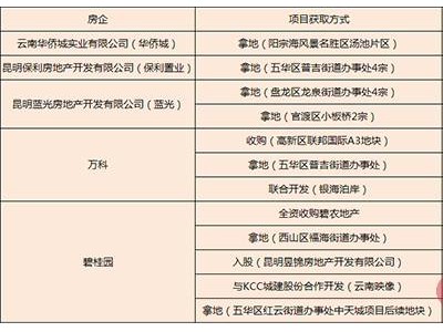昆明楼市风起云涌房企大鳄加速布局已落地