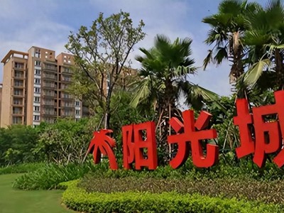 惊天大雷：中国房地产史上最大退市案例