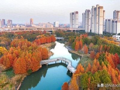 上海杨浦区2022年2月第3周各小区二手房网签成交价