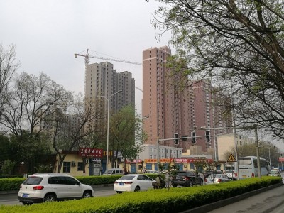 安阳：政策先行促“稳”为防范市场风险推进项目建设