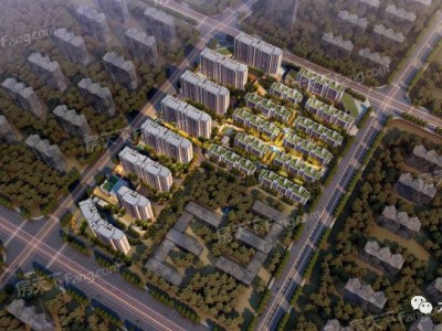 阳逻金茂悦5、6号楼拿预售证武房开预售