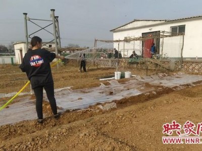 王裕口社区“一分田”打造宜居社区环境