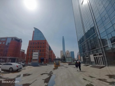 泰达大街上的过街天桥，我的经济条件所限