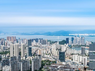 深圳湾全新新盘，紧挨着半岛四期的枫叶望海公馆