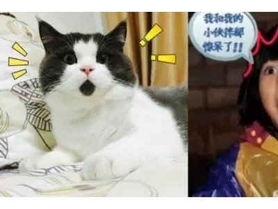 石家庄房地产 楼市疯了？庄里人别着急！这条消息告诉你！