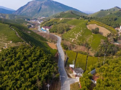 寻找长兴最美乡村路：水库至滩龙桥公路和平镇