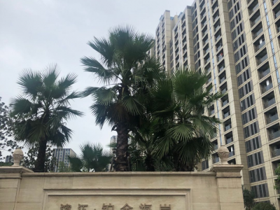 九堡滨江铂金海岸入住一年多的小区突然被要求改名